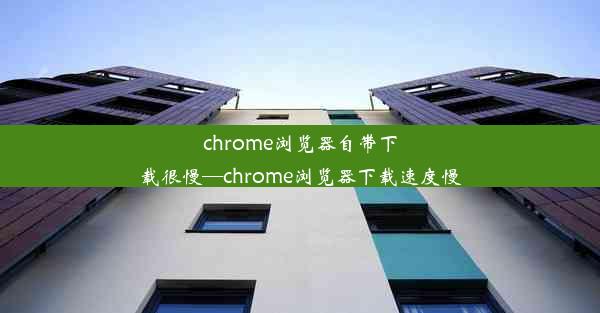 chrome浏览器自带下载很慢—chrome浏览器下载速度慢