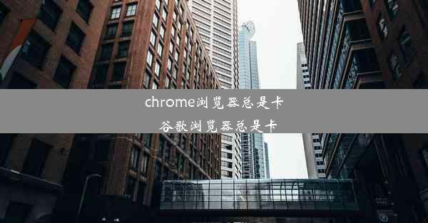 chrome浏览器总是卡_谷歌浏览器总是卡