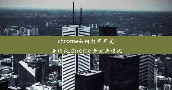 chrome如何打开开发者模式,chrome 开发者模式