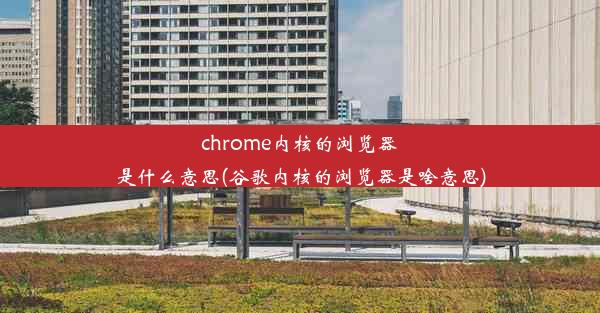 chrome内核的浏览器是什么意思(谷歌内核的浏览器是啥意思)