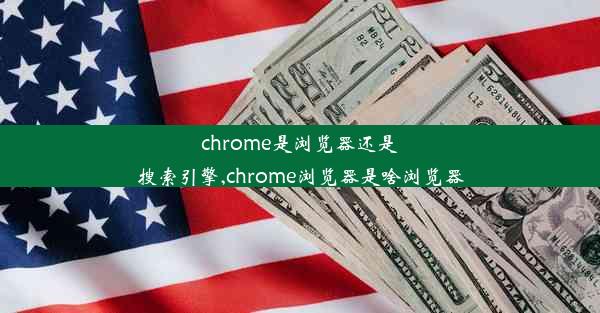 chrome是浏览器还是搜索引擎,chrome浏览器是啥浏览器