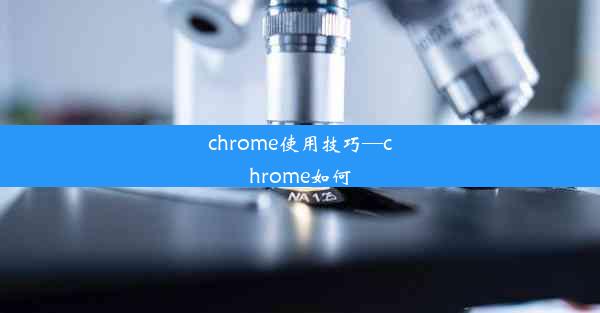 chrome使用技巧—chrome如何