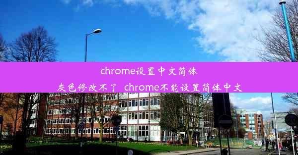 chrome设置中文简体灰色修改不了_chrome不能设置简体中文