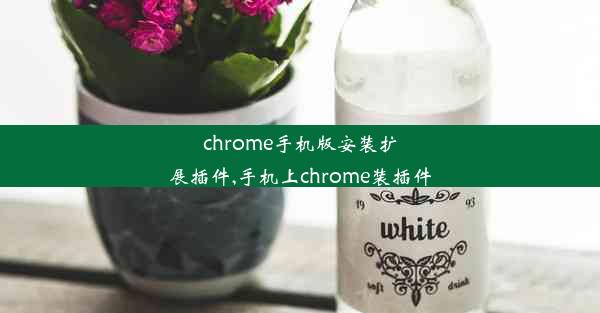 chrome手机版安装扩展插件,手机上chrome装插件