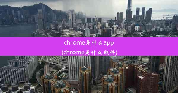 chrome是什么app(chrome是什么软件)