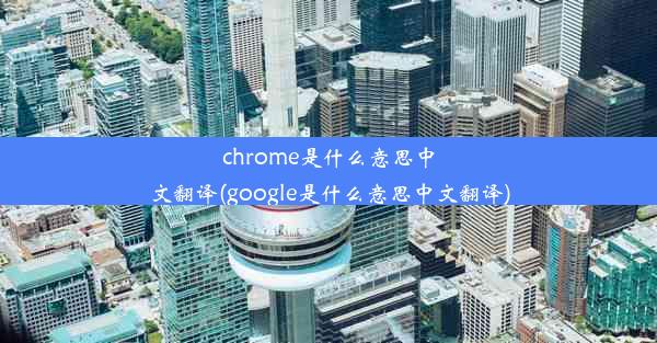 chrome是什么意思中文翻译(google是什么意思中文翻译)