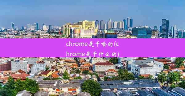 chrome是干啥的(chrome是干什么的)