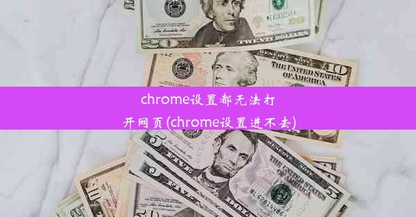 chrome设置都无法打开网页(chrome设置进不去)