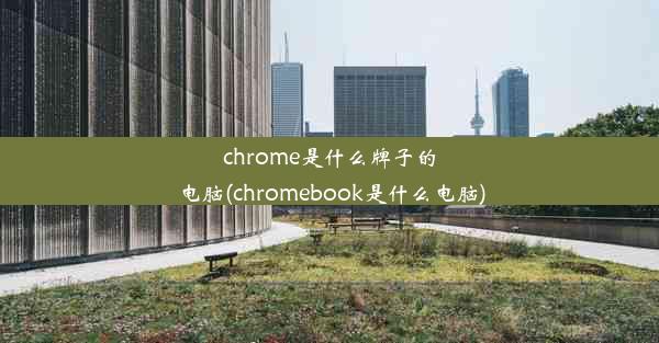 chrome是什么牌子的电脑(chromebook是什么电脑)