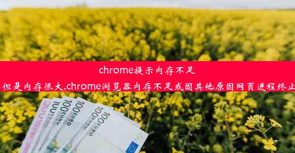 chrome提示内存不足 但是内存很大,chrome浏览器内存不足或因其他原因网页进程终止