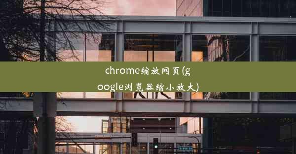 chrome缩放网页(google浏览器缩小放大)