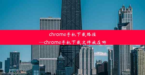 chrome手机下载路径—chrome手机下载文件放在哪