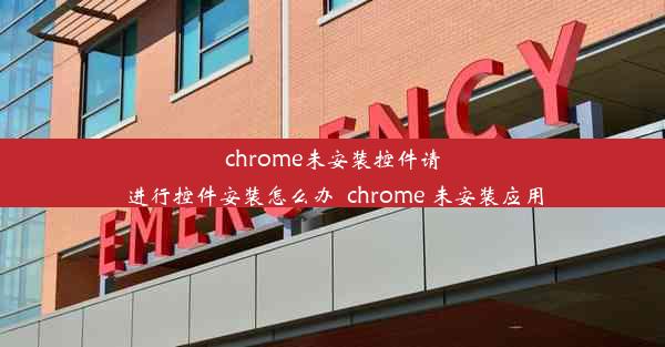 chrome未安装控件请进行控件安装怎么办_chrome 未安装应用