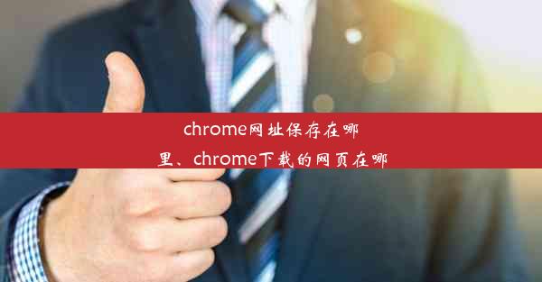 chrome网址保存在哪里、chrome下载的网页在哪