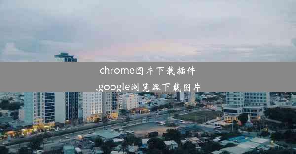 chrome图片下载插件,google浏览器下载图片