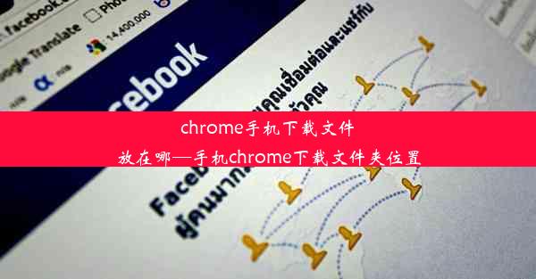 chrome手机下载文件放在哪—手机chrome下载文件夹位置