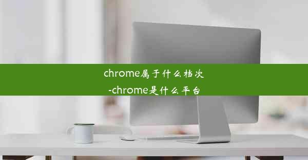 chrome属于什么档次-chrome是什么平台