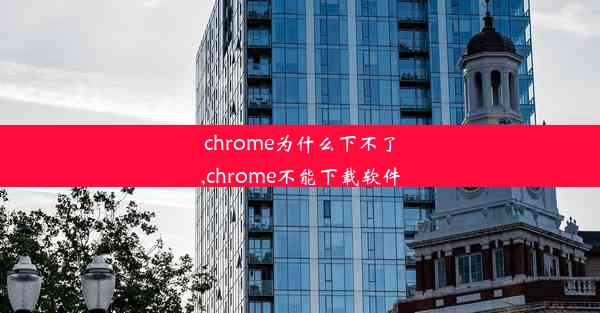 chrome为什么下不了,chrome不能下载软件