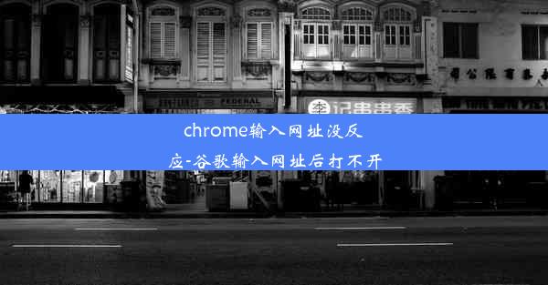 chrome输入网址没反应-谷歌输入网址后打不开