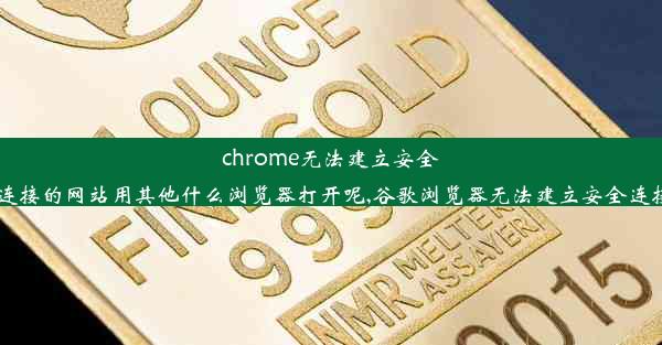 chrome无法建立安全连接的网站用其他什么浏览器打开呢,谷歌浏览器无法建立安全连接