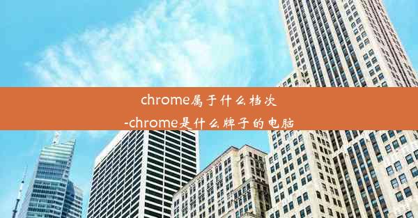 chrome属于什么档次-chrome是什么牌子的电脑