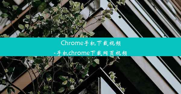 Chrome手机下载视频-手机chrome下载网页视频