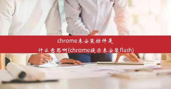 chrome未安装控件是什么意思啊(chrome提示未安装flash)