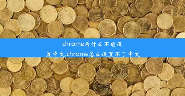 chrome为什么不能设置中文,chrome怎么设置不了中文