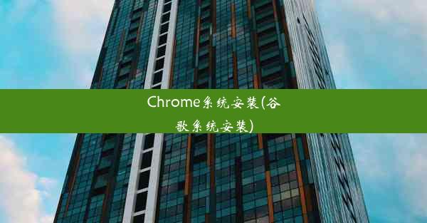 Chrome系统安装(谷歌系统安装)