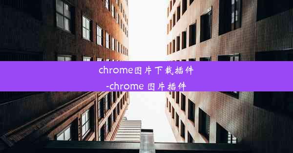 chrome图片下载插件-chrome 图片插件