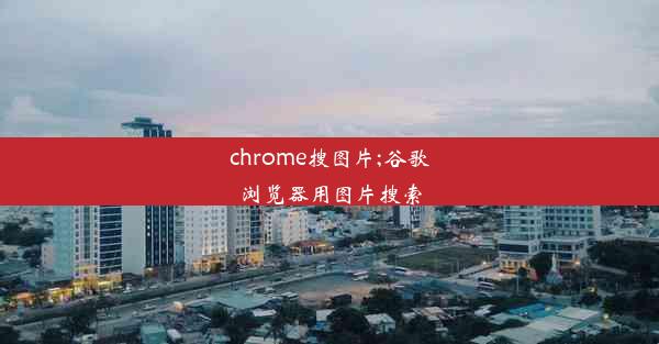 chrome搜图片;谷歌浏览器用图片搜索