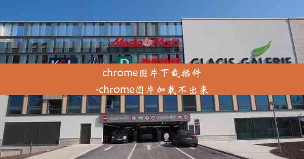 chrome图片下载插件-chrome图片加载不出来