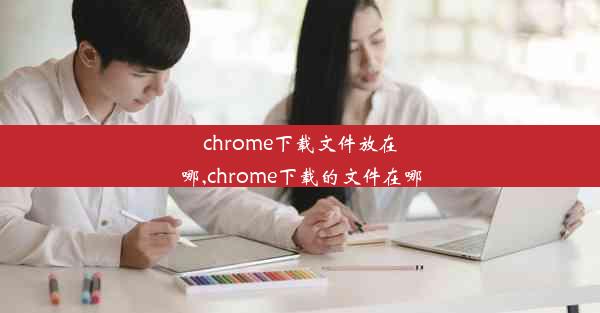 chrome下载文件放在哪,chrome下载的文件在哪