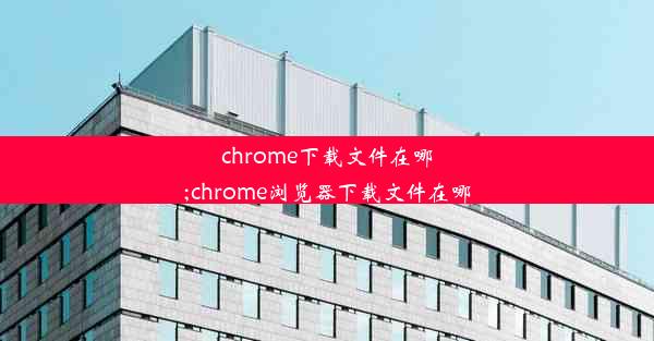 chrome下载文件在哪;chrome浏览器下载文件在哪