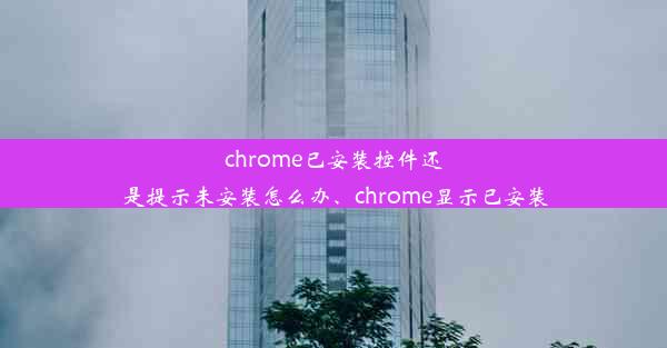 chrome已安装控件还是提示未安装怎么办、chrome显示已安装