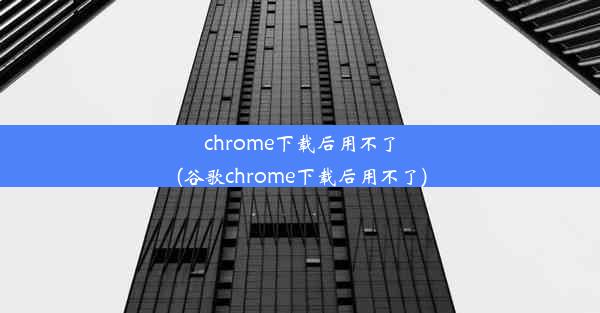 chrome下载后用不了(谷歌chrome下载后用不了)