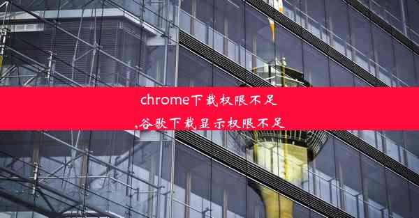 chrome下载权限不足,谷歌下载显示权限不足