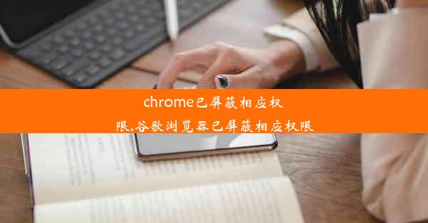 chrome已屏蔽相应权限,谷歌浏览器已屏蔽相应权限