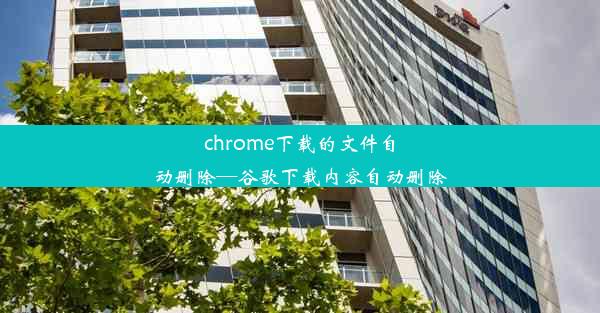 chrome下载的文件自动删除—谷歌下载内容自动删除