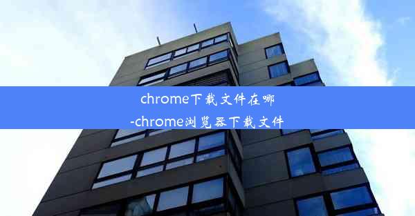 chrome下载文件在哪-chrome浏览器下载文件