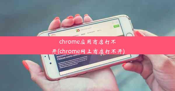 chrome应用商店打不开(chrome网上商店打不开)