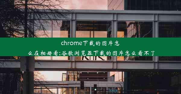 chrome下载的图片怎么在相册看;谷歌浏览器下载的图片怎么看不了