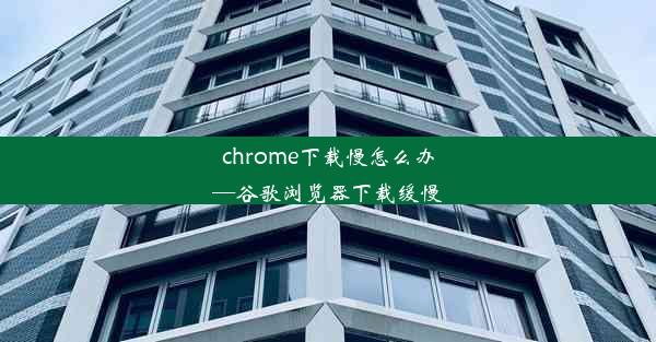 chrome下载慢怎么办—谷歌浏览器下载缓慢