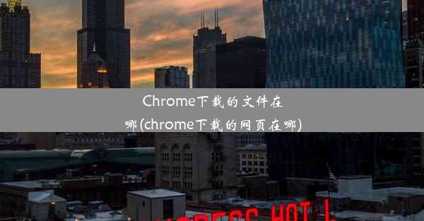 Chrome下载的文件在哪(chrome下载的网页在哪)