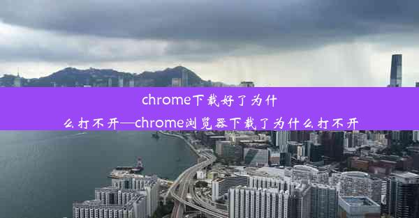 chrome下载好了为什么打不开—chrome浏览器下载了为什么打不开