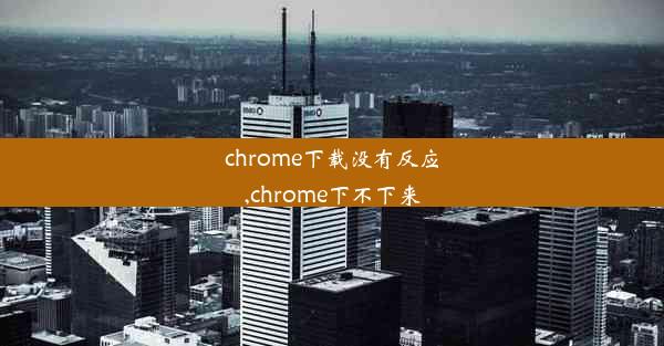 chrome下载没有反应,chrome下不下来