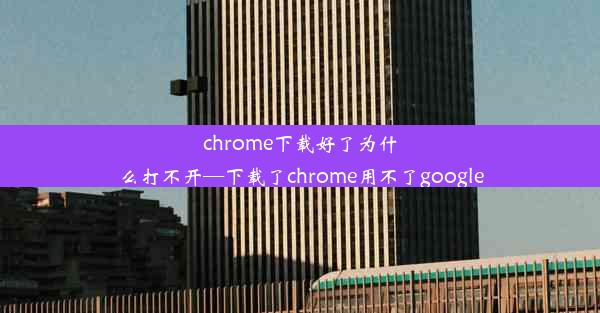 chrome下载好了为什么打不开—下载了chrome用不了google