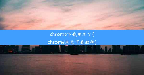 chrome下载用不了(chrome不能下载软件)