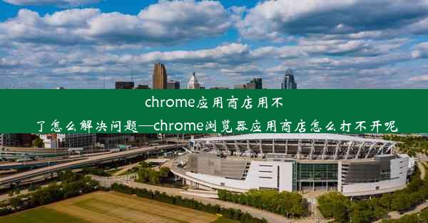 chrome应用商店用不了怎么解决问题—chrome浏览器应用商店怎么打不开呢