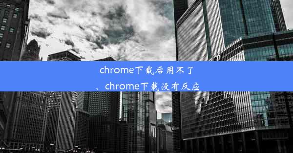 chrome下载后用不了、chrome下载没有反应